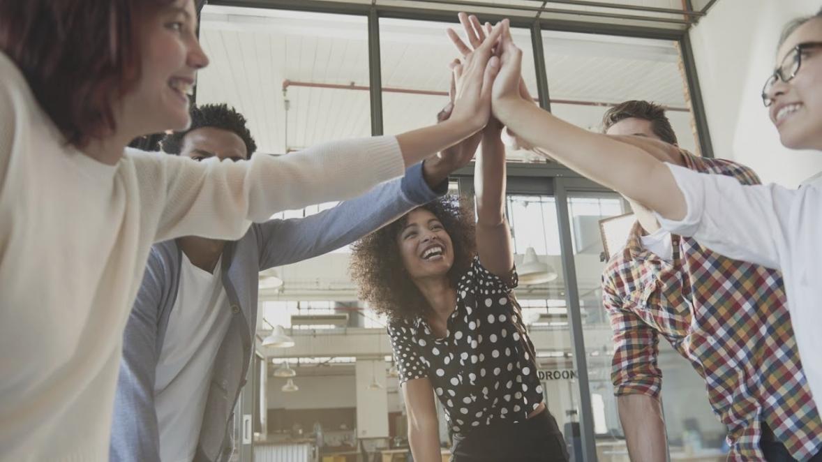 Команда анализирует финансовые данные